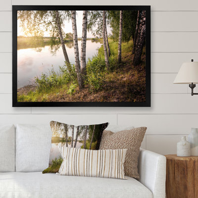 " Birch Forest By The River "