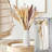 16.7'' Reed Grass in Ceramic Vase