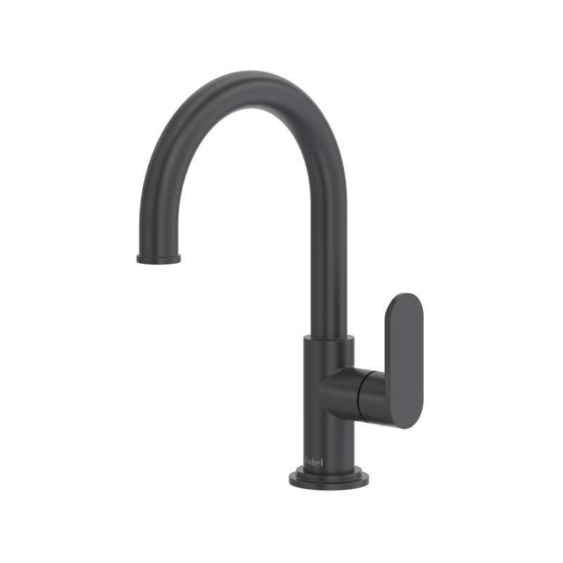 Arca Filter Kitchen Faucet, Black