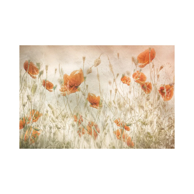 Coquelicots dans le champ NTA6, H 8 po x l 12 po x P 0,75 po