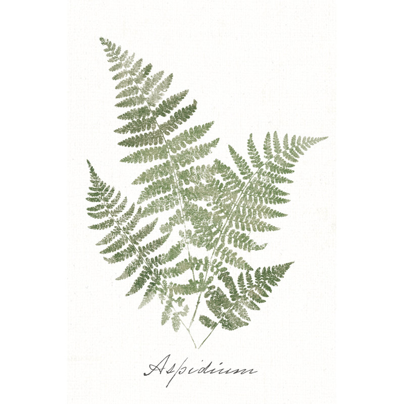 Fougères rétro sans bordure blanche par Wild Apple Portfolio - impression, H 48 po x l 32 po
