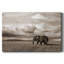 Toile tendue Maasai Majesty-1130755640