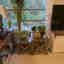 Customer photo 3 of 6