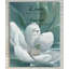 « joy to the âme », reproduction d’impression sur toile tendue-22481804
