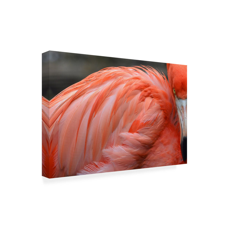 Art sur toile Dikky Oesin Flamig Go, H 30 po x l 47 po