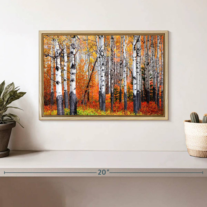 Forêt de trembles de Banff, Cadre flottant en bois naturel, 13 po x 9 po