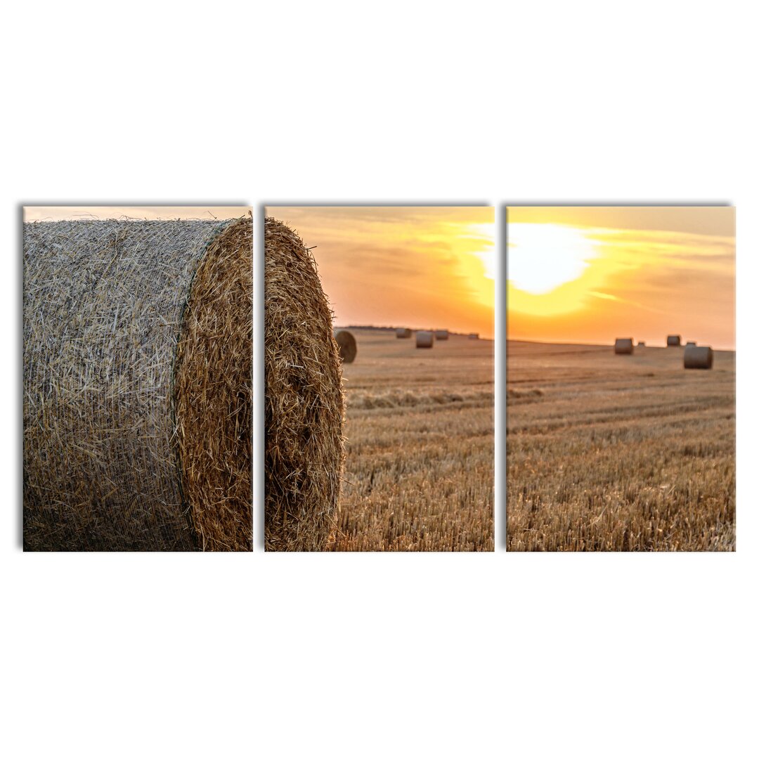 3-tlg. Leinwandbilder-Set Straw Bales on a Field