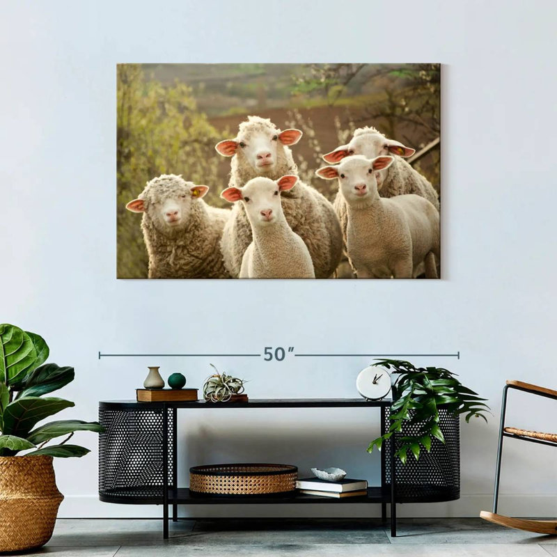Stunned Sheep, 30" H x 45" W