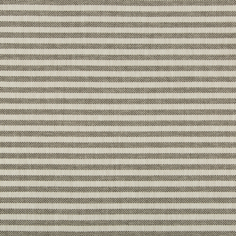 Terra Firma II Rayas Stripe Fabric, Soot