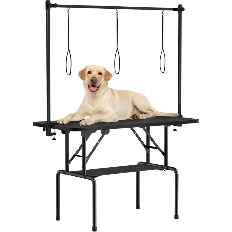 Table de toilettage pliable et réglable en métal, H 63,5 po x l 24 po x P 46 po