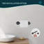 Celestine Wall Mount Toilet Paper Holder-72845039