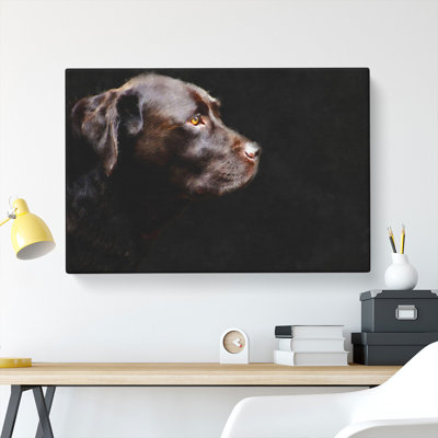 Chocolate Labrador Dog - Wrapped Canvas Print