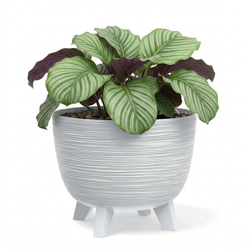 Pot Planter, White, 24cm H x 29cm W x 29cm D