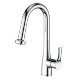 Dali Pull Down Single Handle Kitchen Faucet with Side Spray and Accessories
