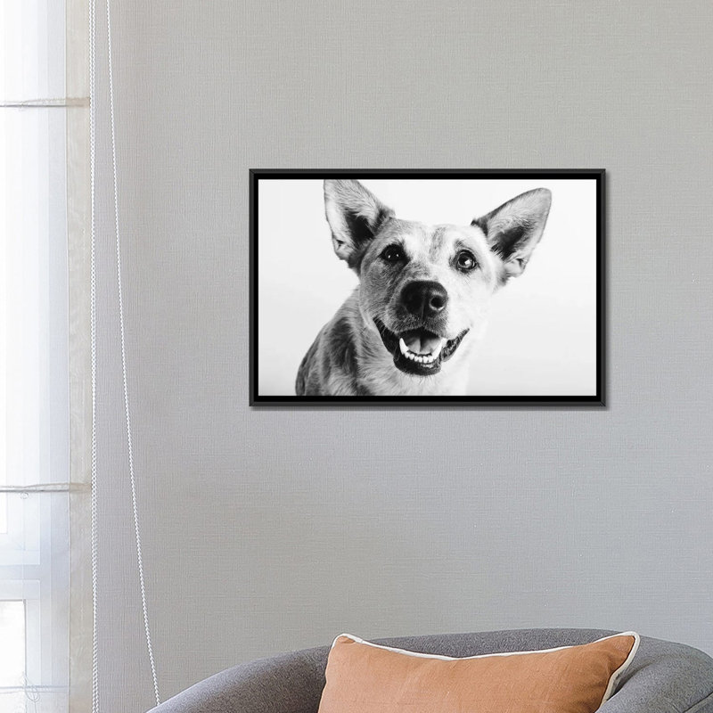 «Irma», reproduction de photo sur toile, H 18 po x l 26 po x P 1,5 po, Toile avec cadre noir, Pas de tapis