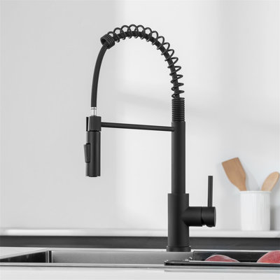 Belfry Kitchen Kitchen Faucet