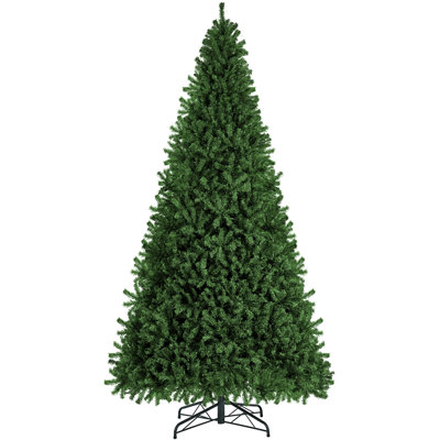 Lighted Christmas Tree
