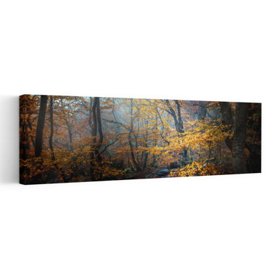 «Golden Forest Mist»