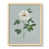 Toile avec cadre naturel