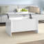 Hydia Lift Top Sled Coffee Table with Storage-1035314960-1053389201
