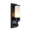 Valentine 1 - Light Flush Mounted Sconce-654959588