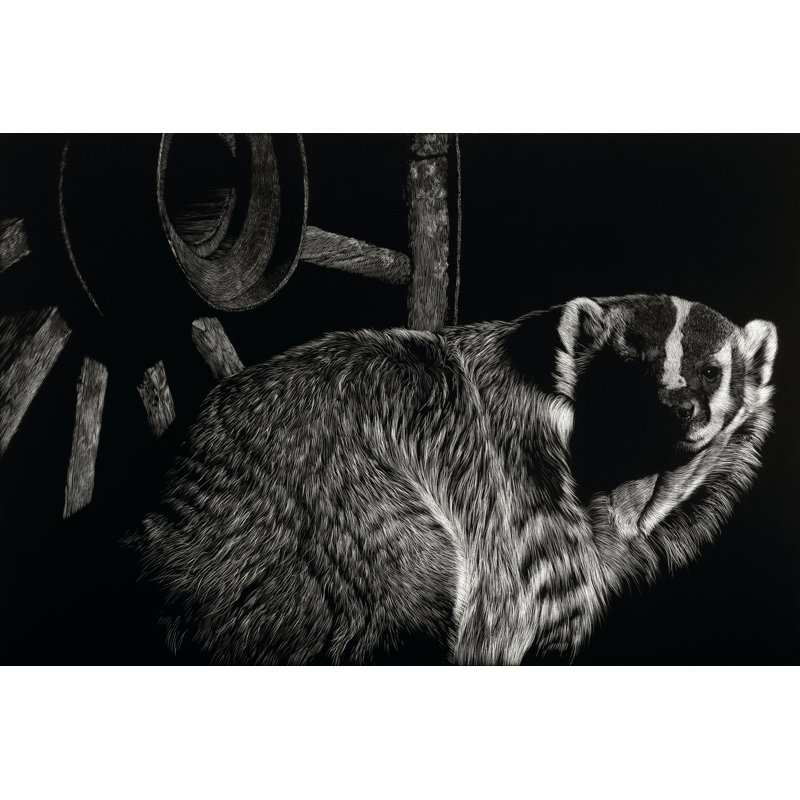 Scratchboard Tenacious - Wrapped Canvas Print, 30cm H x 46cm W x 3.8cm D