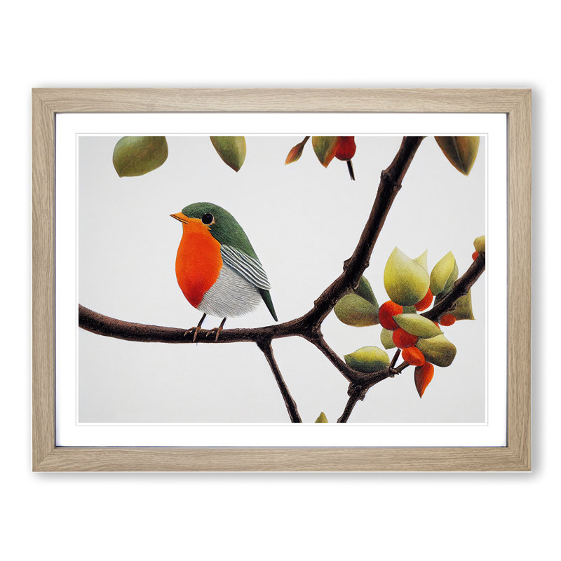 Captivating Robin Bird - Framed Print, Oak, 46cm H x 64cm W x 2cm D