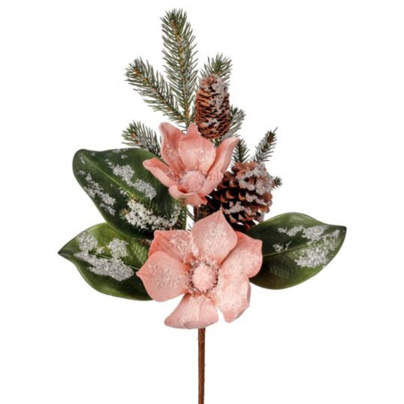 Magnolia enneigé avec des pommes de pin et des aiguilles