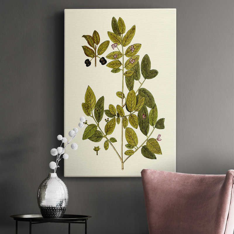 Olive Greenery VII, toile tendue avec châssis de qualité supérieure - prête à être accrochée, H 18 po x l 12 po x P 1,5 po