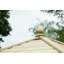 Furnished 3.3m x 2.9m Wooden Gazebo with Timber Roof with Installation Service