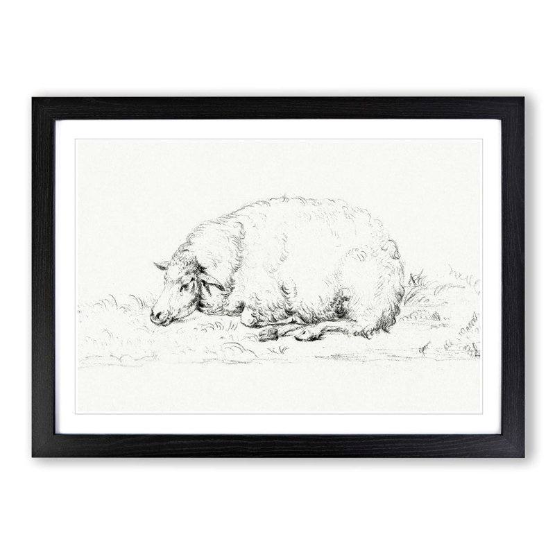 Resting Sheep by Jean Bernard - Picture Frame Drawing Print on MDF, 27cm H x 36cm W x 2cm D, Black Framed