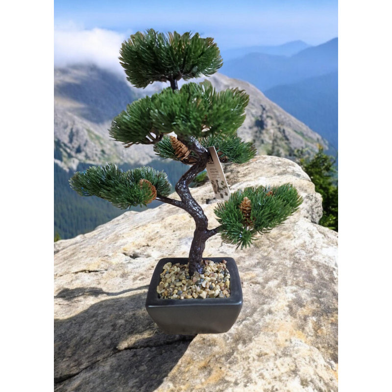 Geko 37cm Bonsai Tree