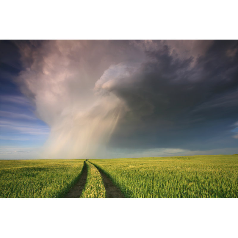 Prairie storm, 51cm H x 76cm W