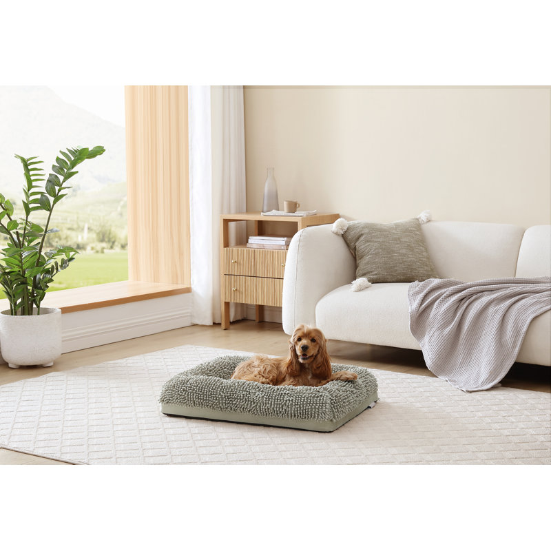 Lit pour chien en mousse viscoélastique ultime Arlee Home & Pet, Beige / taupe, H 5 po x l 30 po x P 23 po