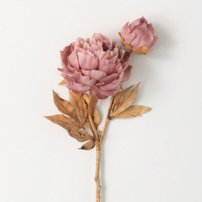 Nod To Nature Classic Blooming Peonies