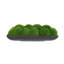 Moss Preserved in Oblong Planter-2127730665