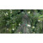 Vickerman Artificial Slim Douglas Fir Christmas Tree-1159834037
