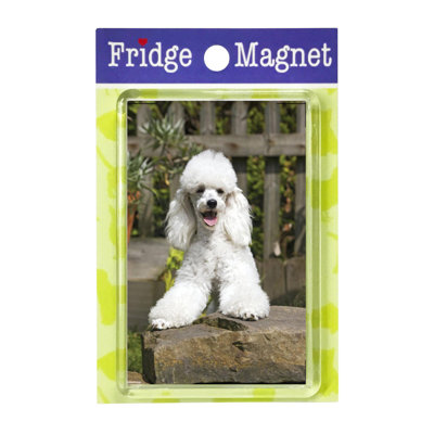 Fridge Magnet