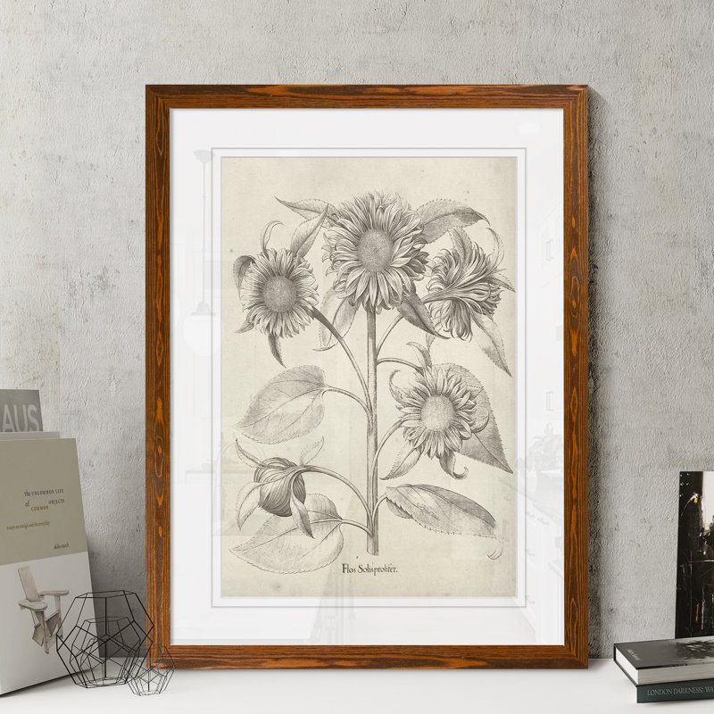Reproduction d’art sur papier encadrée « fresco sunflower ii » par paul cezanne, H 32 po x l 44 po x 1,25 po