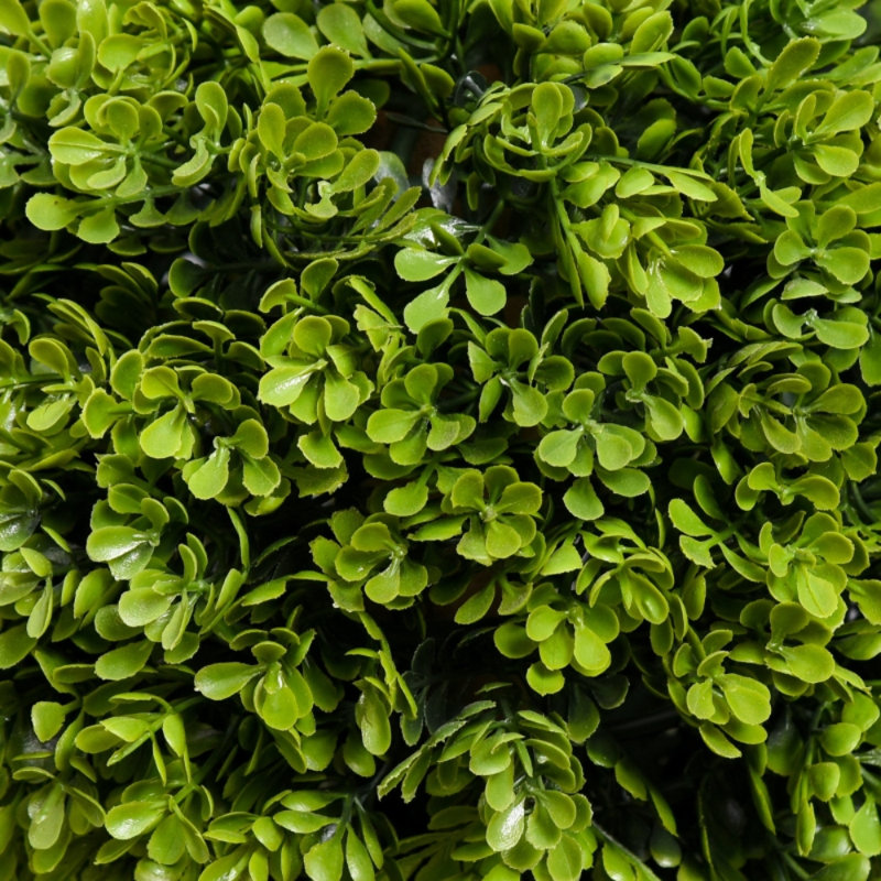 90cm Plant