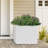 Planter Box-1881047319-1881047318