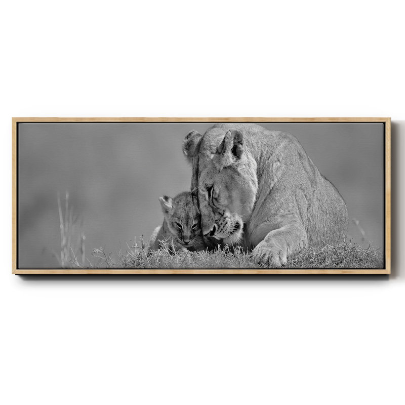 Lionne Love - toile encadrée, H 20 po x l 50 po