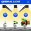 Naomi Grow Light