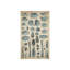 Study Of Sea Shells II Print by Sofia Fox-26930206-26930208