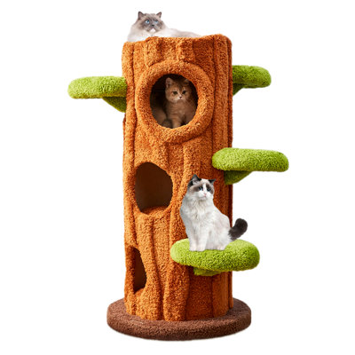 49"  Elizha Solid Wood Modern Cat Tree Tower Condo