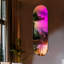 Miroir arc-en-ciel 47,2 po x 18 po