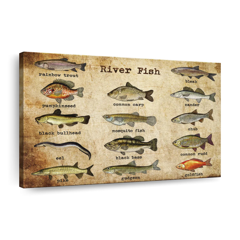 River River Guide Guide - impression sur toile tendue, H 24 po x l 36 po x P 1,25 po