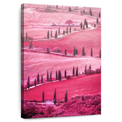 Vallée toscane rose d'Alvord