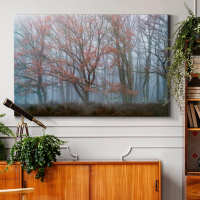 «Misty Contrasts», reproduction de photo sur toile tendue