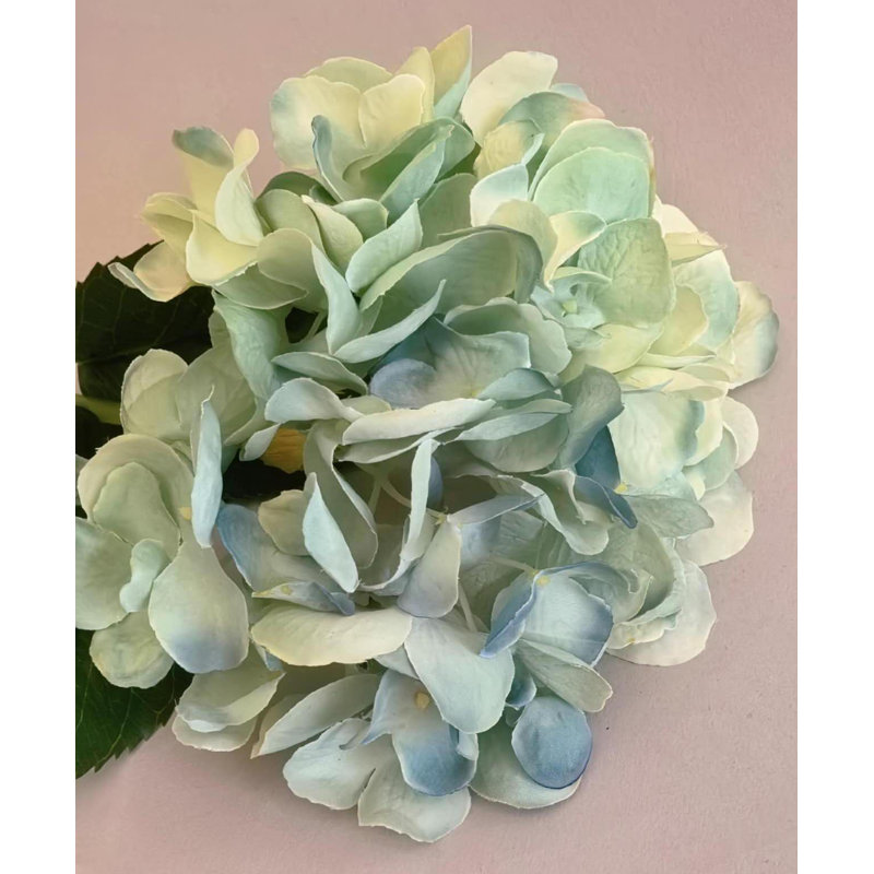 SPRAY D'HYDRANGEA